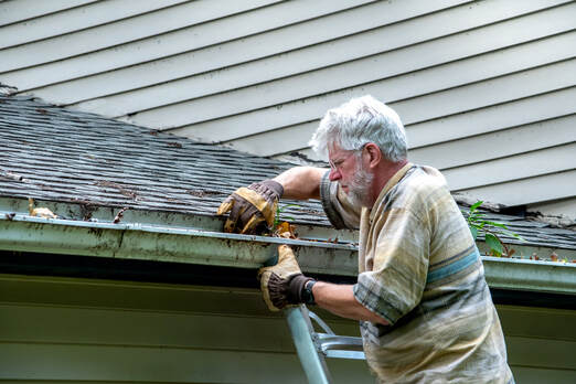 gutter cleaning company